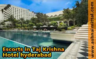 Taj Krishna Hotel